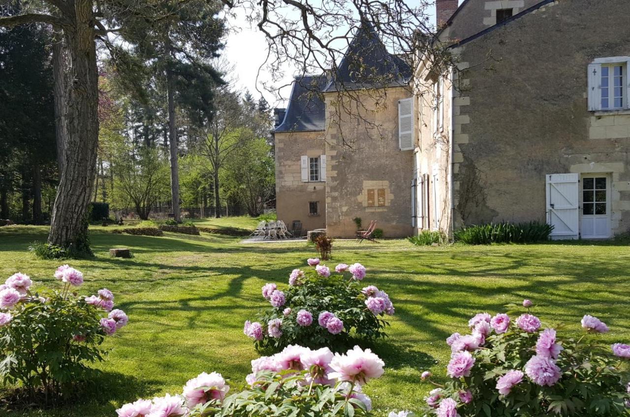 Manoir Du Bellay Bed & Breakfast Montreuil Bellay Bagian luar foto